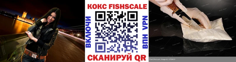 купить наркотик  Вязьма  Кокаин Fish Scale 