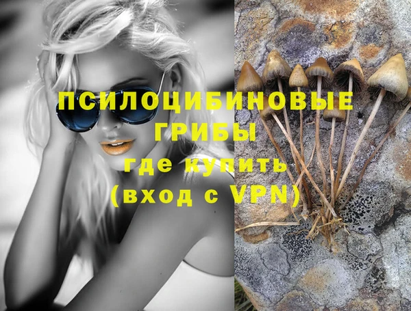 таблы Богородицк