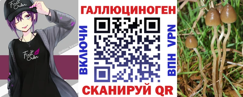 Галлюциногенные грибы GOLDEN TEACHER  продажа наркотиков  Вязьма 