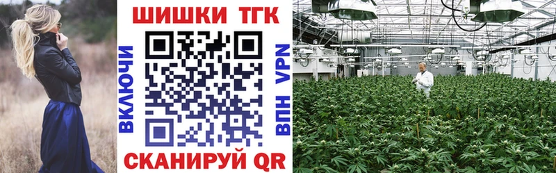 Конопля марихуана Вязьма